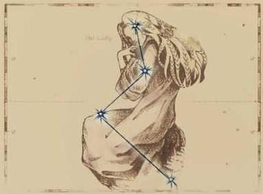 The Lady - 